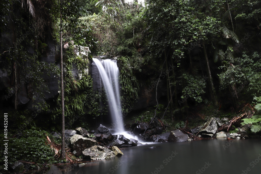 waterfall in the forest waterfall in the forest