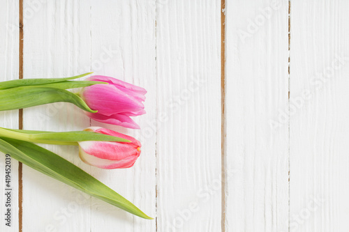 Fototapeta Naklejka Na Ścianę i Meble -  two pink  tulips on white wooden background