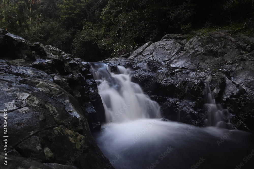 Naklejka premium waterfall in the forest