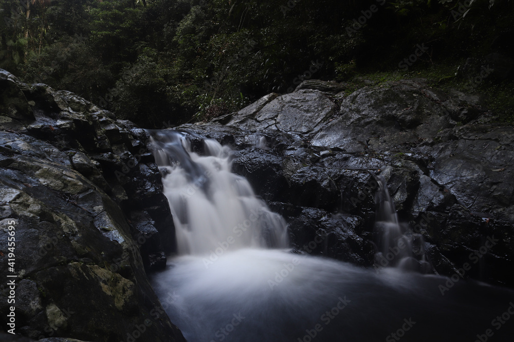 Obraz premium waterfall in the forest