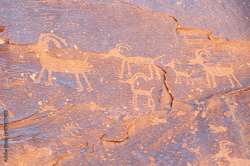 sheep petroglyph Utah