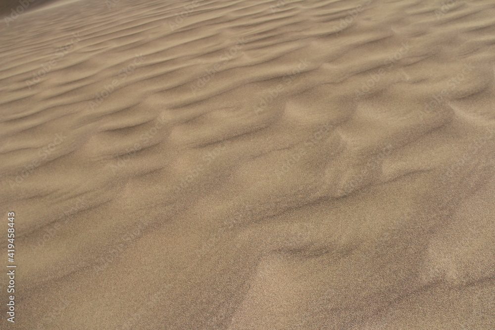 Beautiful sandy waves of the Singing Dune in Altyn-Emel, waves diagonally from left to right upwards, sandy surface, summer, sunny Beautiful sandy waves of the Singing Dune in Altyn-Emel, waves diagonally from left to right upwards, sandy surface, summer, sunny