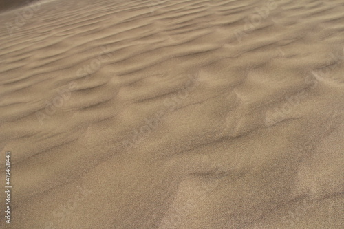 Beautiful sandy waves of the Singing Dune in Altyn-Emel, waves diagonally from left to right upwards, sandy surface, summer, sunny © Natalya