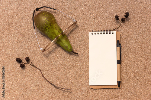 Above view of blank empty notepad, glasses on pear and dry grass on cork table.