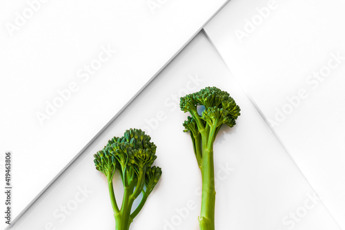 Top view of fresh broccoli sprig representing concept of healthy vegetarian food on white geometric surface photo