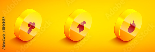 Set Isometric Sports nutrition, T-shirt and Kettlebell icon. Vector.