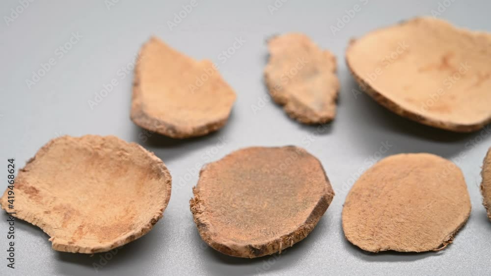 side pan view herb CuSanLeng or Sparganii Rhizoma or Vinegar Processed Common Burreed Tuber side pan view herb CuSanLeng or Sparganii Rhizoma or Vinegar Processed Common Burreed Tuber