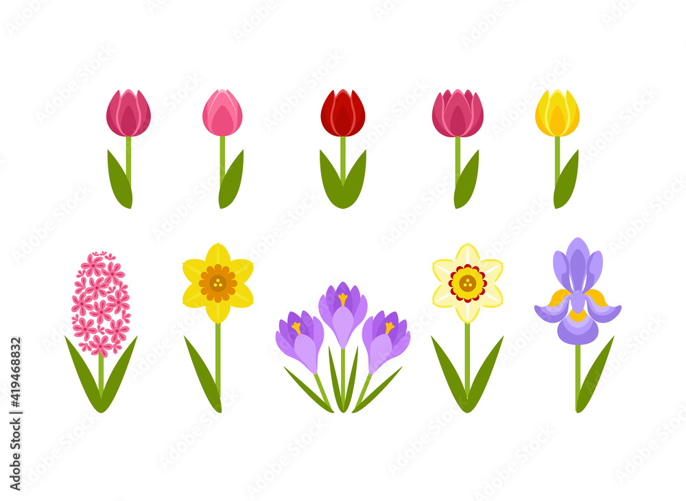 Spring flowers isolated on white background. Red, yellow and pink tulips of different shapes. Vector daffodil, iris, crocus and hyacinth with green leaves. Set of cute simple flat illustration, icons. Spring flowers isolated on white background. Red, yellow and pink tulips of different shapes. Vector daffodil, iris, crocus and hyacinth with green leaves. Set of cute simple flat illustration, icons.