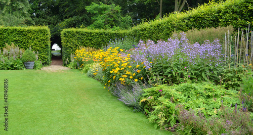 Photos Herbaceous  border with hedge and lawn.