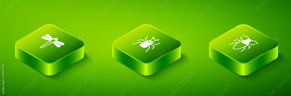 Set Isometric Beetle bug, Cockroach and Dragonfly icon. Vector. Set Isometric Beetle bug, Cockroach and Dragonfly icon. Vector.