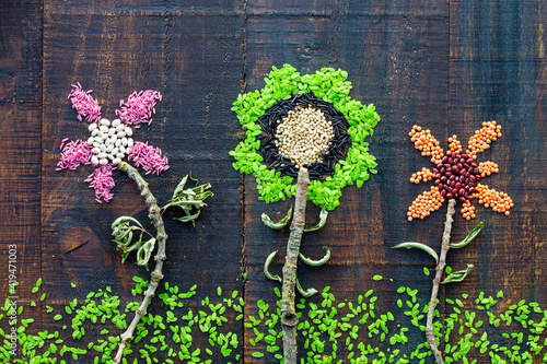 Top view of assorted beans with rice and cereals arranged in composition of flowers on lawn photo