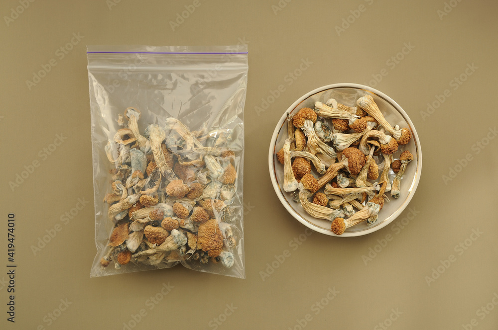Psilocybin Psilocybe Cubensis mushrooms in a plastic bag on brown soft