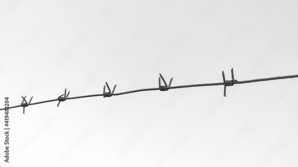 A black-and-white photo of old rusty barbed wire A black-and-white photo of old rusty barbed wire