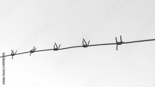 Wallpaper Mural A black-and-white photo of old rusty barbed wire Torontodigital.ca