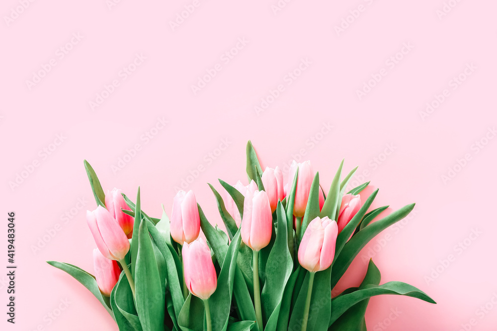 Fototapeta premium Bouquet of gently pink tulips on a light pink color background, top view