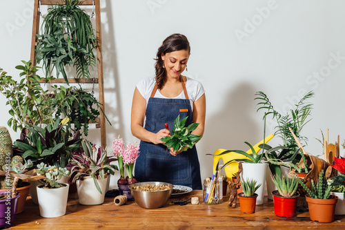 Delighted female gardener in apron transplanting green plant while working in flower shop