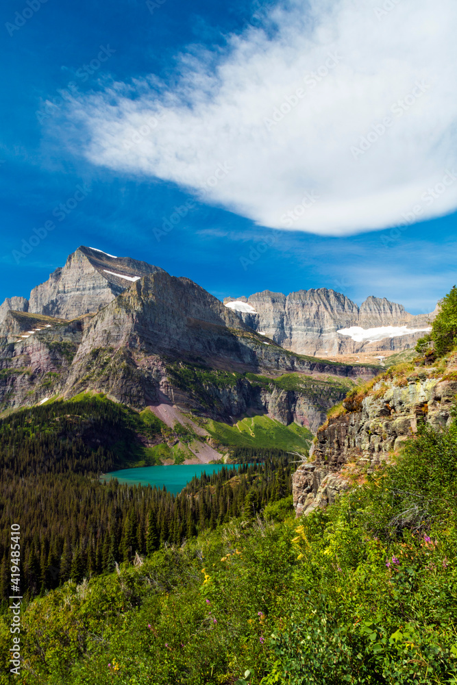 summer wild flowers  with turquoise colored Grinnell Lake  with Mt.Gould on the background in Glacier National Park in Montana.