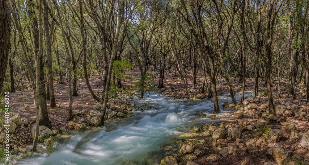 Ses Fonts Ufanes, a Nature preserve with natural water coming from the ground, landmark with spectacular nature near the village of Sa Pobla, on the balearic island of mallorca, spain Ses Fonts Ufanes, a Nature preserve with natural water coming from the ground, landmark with spectacular nature near the village of Sa Pobla, on the balearic island of mallorca, spain