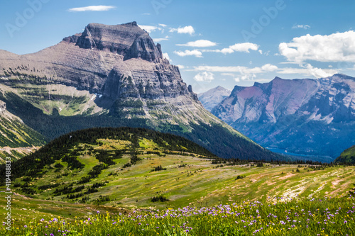 Views from the Hidden Trail in Glacier national park in Montana during summer. wild flowers, towering Bear Hat Mt and Mt . Reynolds can be seen in this hike. photo