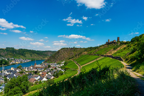 Panoramic view of the Moselle vineyards, Germany..Thurant Castle near Alken on the Moselle .