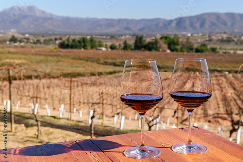 Two glasses of red wine in Valle de Guadalupe, Mexico - prominent winemaking region of the Baja Peninsula