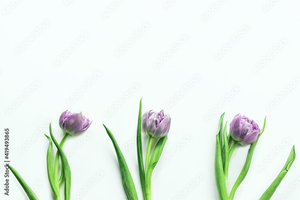 Three pink tulips isolated on white background. Three pink tulips isolated on white background.