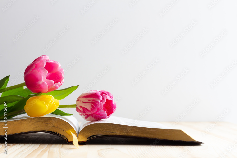 tulip flowers on open bible with copy space Stock Photo Adobe Stock