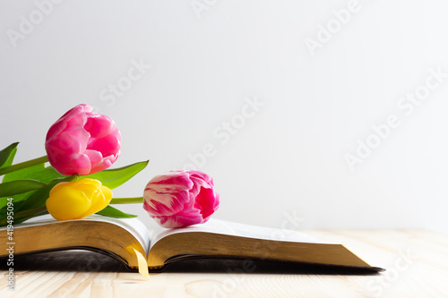 tulip flowers on open bible with copy space