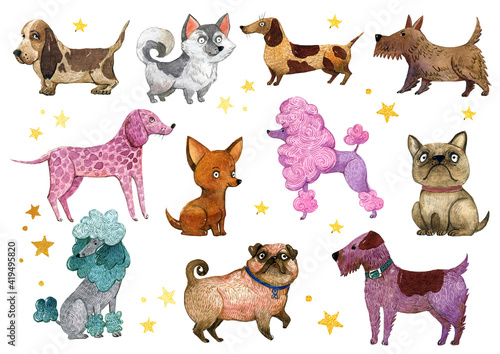 Watercolor dog collection, Dog breeds clipart. Colorful cute dogs in the cartoon style.French bulldog, dalmatian, chihuahua, dachshund, Laika, cute pug, terrier, poodle dog.
