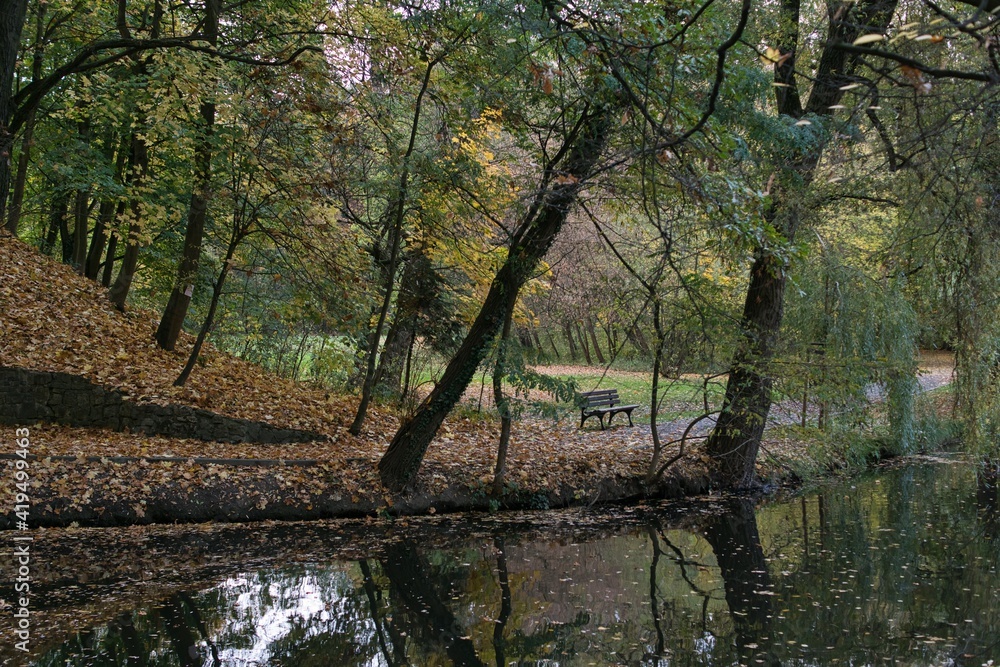 pusty jesienny park, ścieżka pokryta kolorowymi liśćmi, ławka czeka na spacerowiczów, w stawie odbijają się drzewa - obrazy, fototapety, plakaty 
