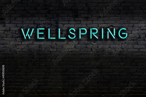 Night view of neon sign on brick wall with inscription wellspring photo