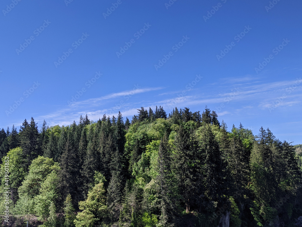 view of evergreen trees covering a mountainous landscape in the Pacific Northwest view of evergreen trees covering a mountainous landscape in the Pacific Northwest
