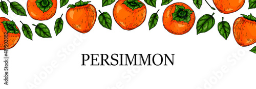 Hand drawn colorful persimmon horizontal design. Vector illustration in colored sketch style.