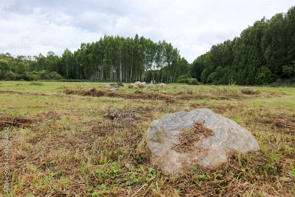 landscape with forest, meadow and large boulders