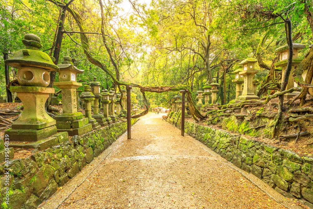 Nara, Japan - April 26, 2017:Kasuga Taisha Shinen Manyo Botanical Garden. Row of japanese old stone lanterns with moss covered outside historic shrine.,symbol of popular Shinto Temple is 3000 lanterns Nara, Japan - April 26, 2017:Kasuga Taisha Shinen Manyo Botanical Garden. Row of japanese old stone lanterns with moss covered outside historic shrine.,symbol of popular Shinto Temple is 3000 lanterns