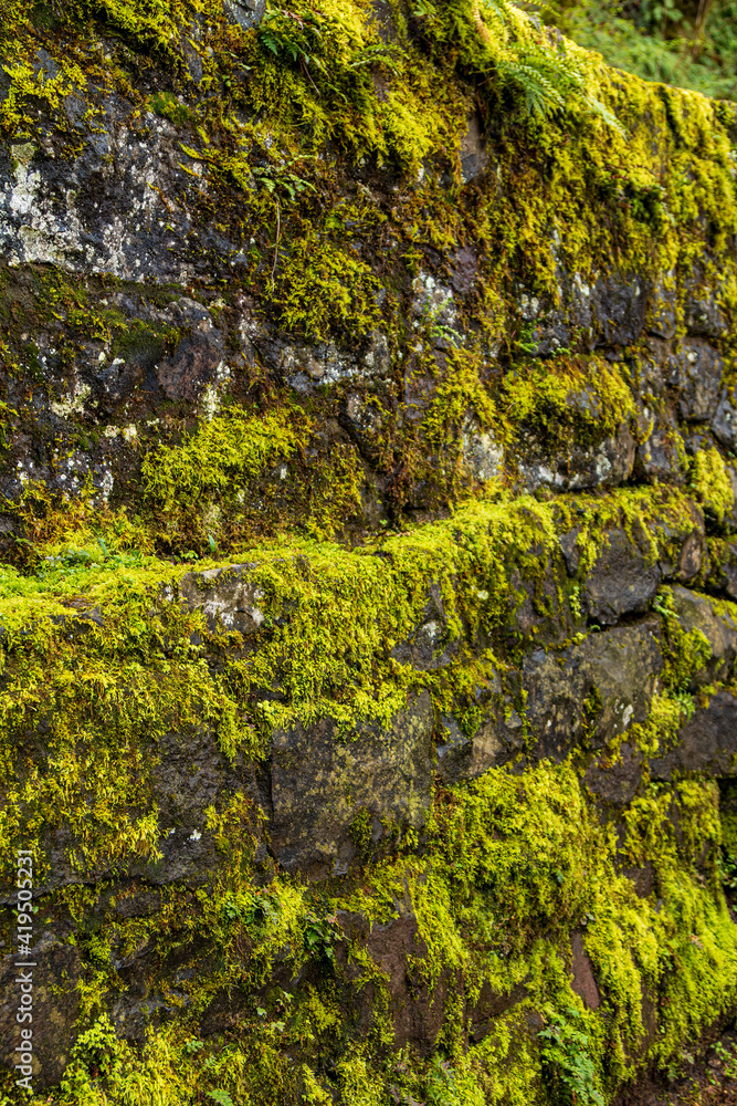 Multnomah Falls Pathway Mossy Stone Wall Multnomah Falls Pathway Mossy Stone Wall