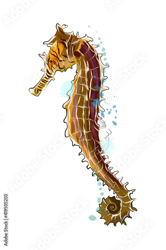 Sea Horse from a splash of watercolor, colored drawing, realistic. Vector illustration of paints