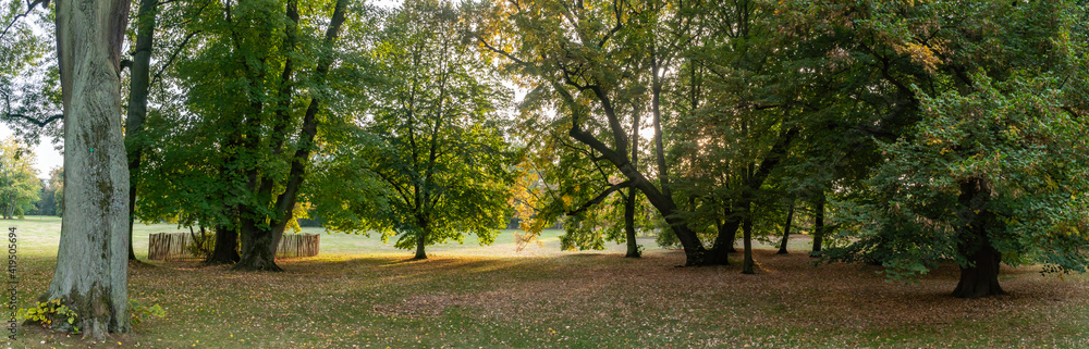 Naklejka premium Panorama from Public Park