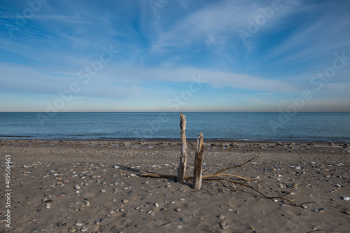 driftwood on beach.