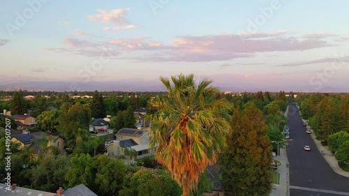 Pull Away Shot of a Palm Tree in a Suburban Neighborhood in Fresno Valley California photo