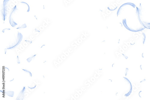 Feather texture. Nature abstract bird feather closeup isolated on white background in pattern photography. Glamorous sophisticated airy artistic image isolated on white.