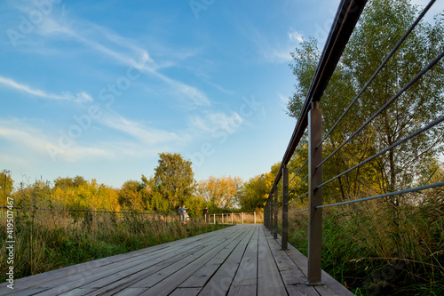 Obraz na płótnie Wooden pathway or walkway from wood planks in forest park in sunlight summer day w salonie