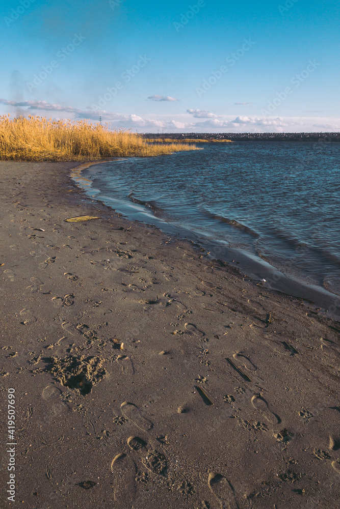 Obraz premium beach at sunset