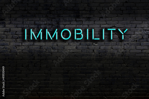 Fotografie Neon sign. Word immobility against brick wall. Night view