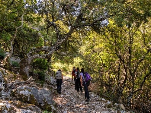 Photography Gruppo di Escursionisti nel monte albo , Sardegna