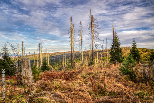 Autumnal landscape at mount Dreisessel, a mountain in the bavarian forest at the czech border. Sumava national park, high dynamic range