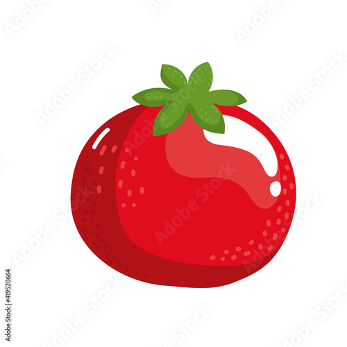 fresh tomato vegetable healthy food