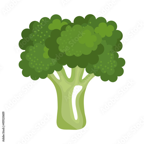 fresh broccoli vegetable healthy food