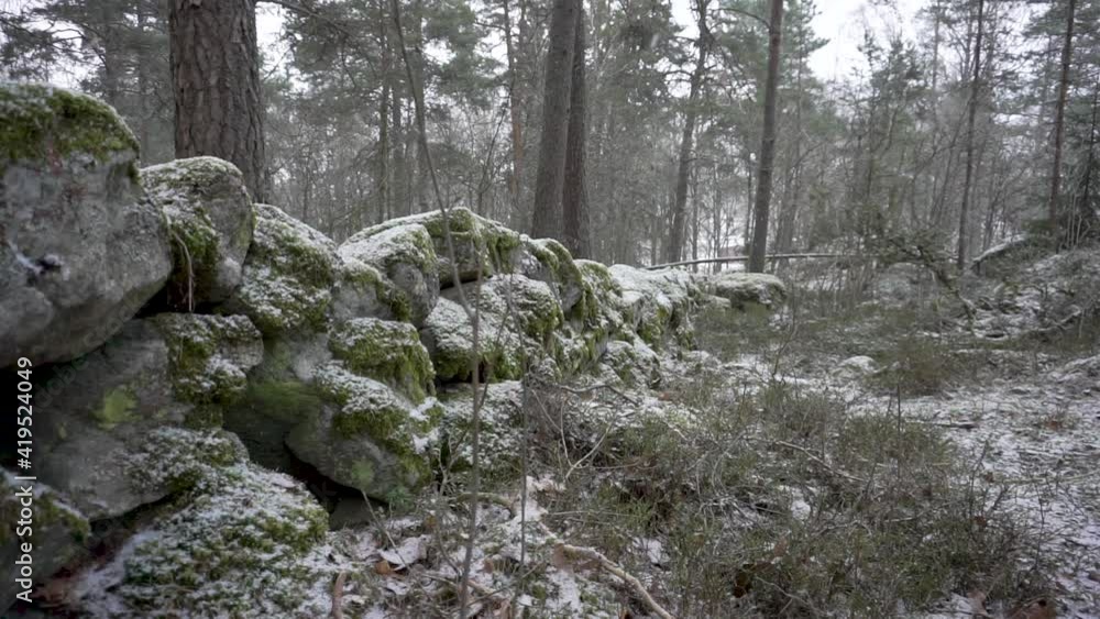 Static shot in a forest when its snowing, with a wall of rocks Static shot in a forest when its snowing, with a wall of rocks