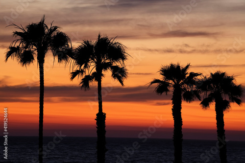 Oceanside Sunset and Palms